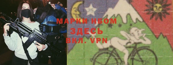 дживик Богородицк