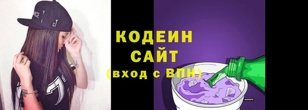 мдпв Бородино