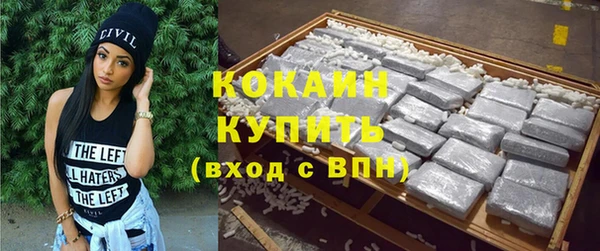 дживик Богородицк