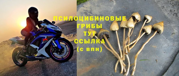 дживик Богородицк