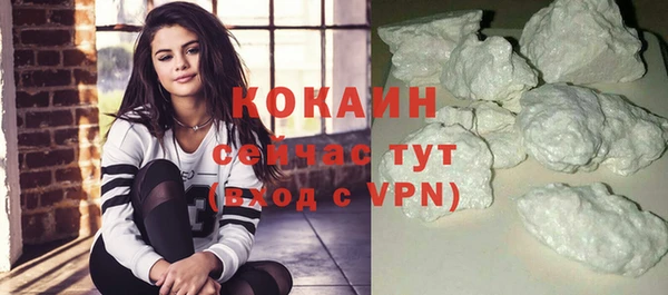 дживик Богородицк