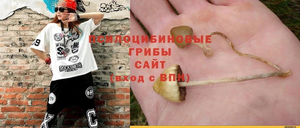 мдпв Бородино