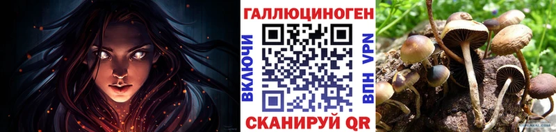 продажа наркотиков Балабаново Галлюциногенные грибы MAGIC MUSHROOMS